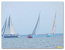 Regata_07.2017 (5)